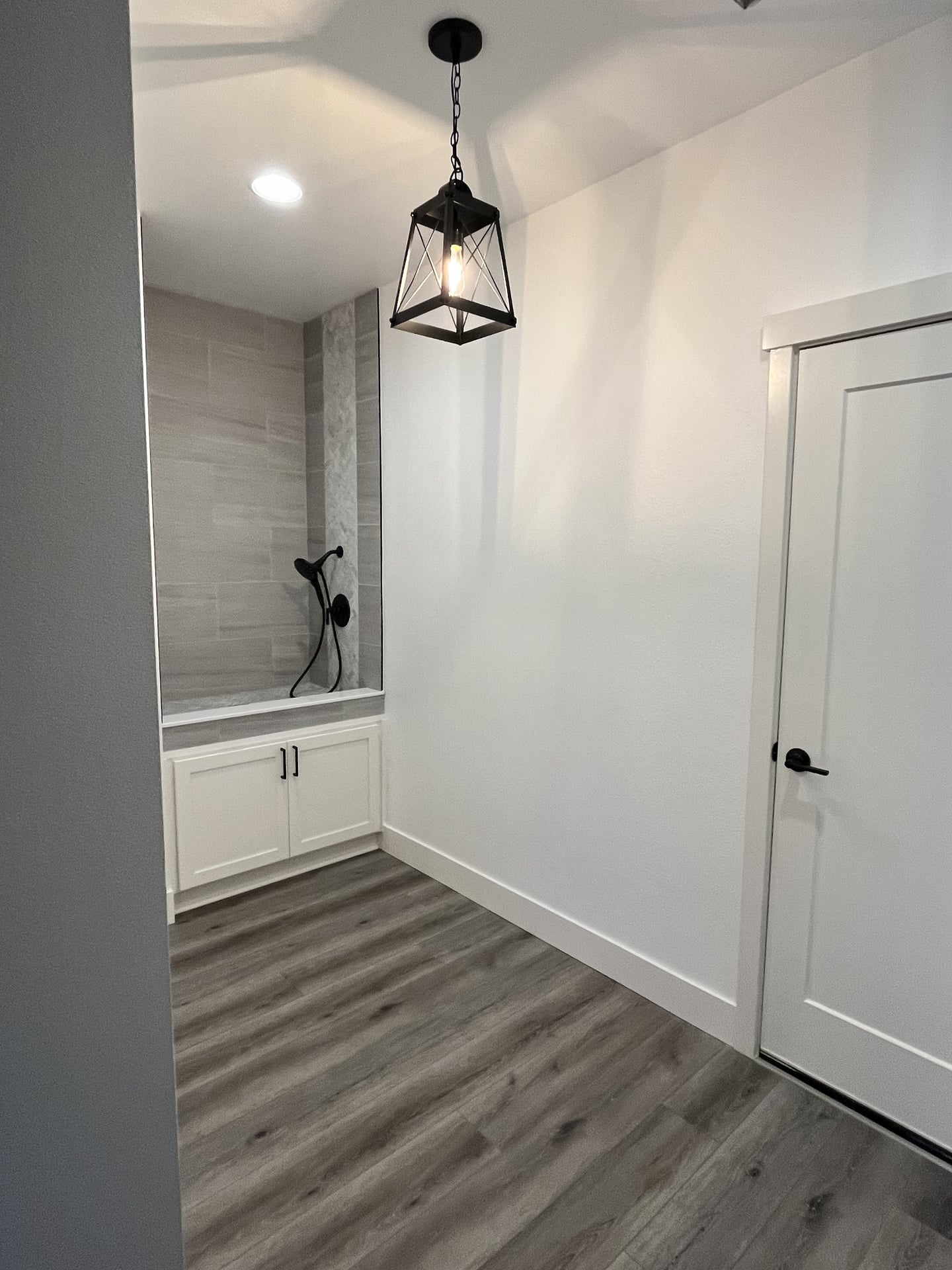 Half Bath to Dog Wash Station Conversion - Photo 10