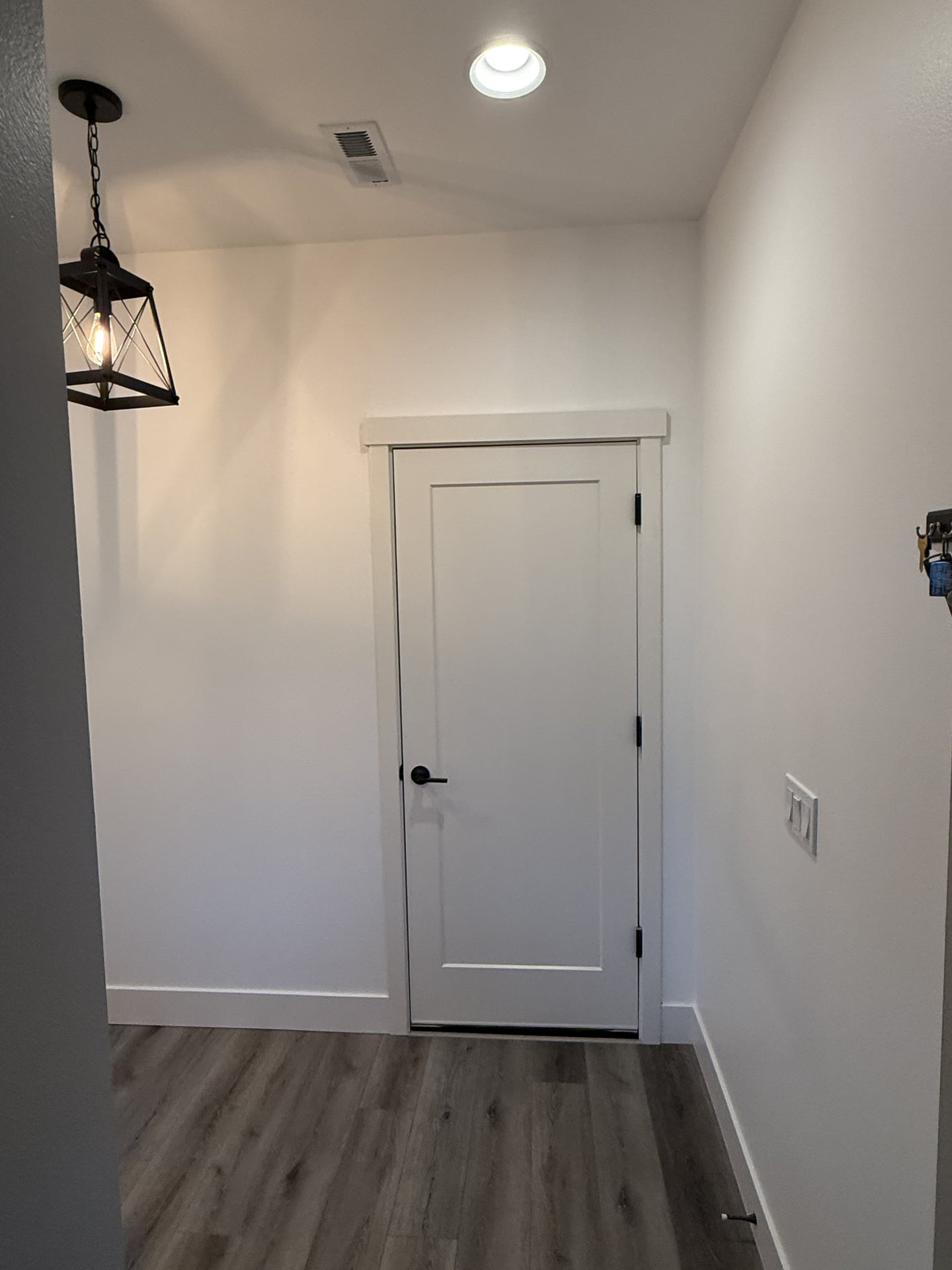 Half Bath to Dog Wash Station Conversion - After 3