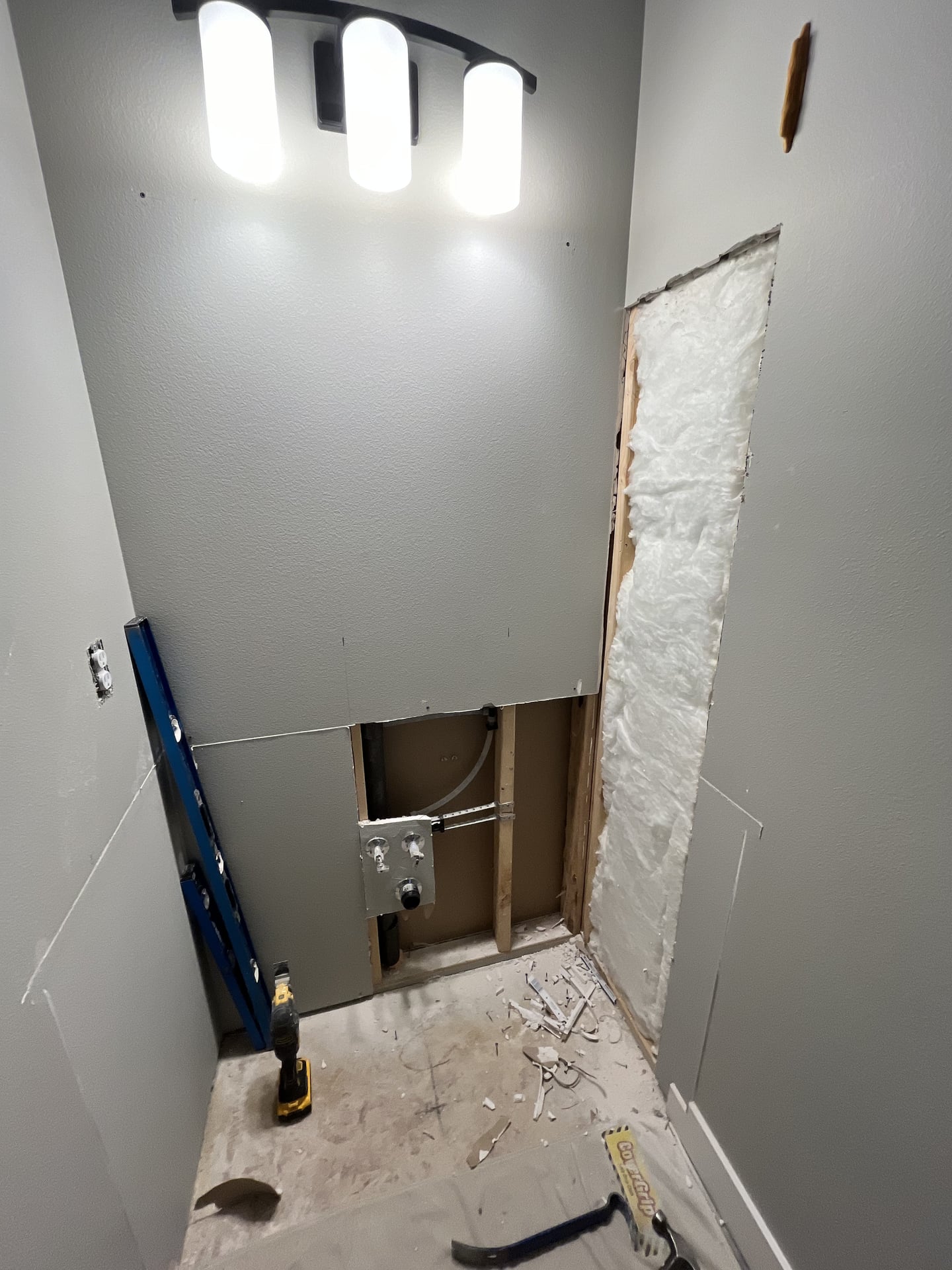 Half Bath to Dog Wash Station Conversion - Before 1