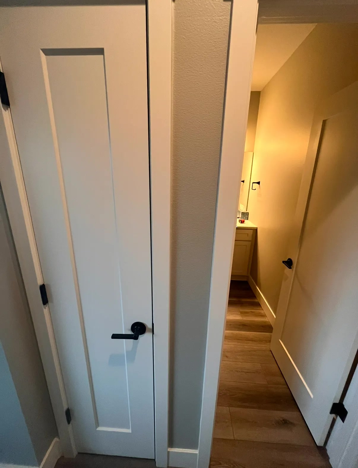 Half Bath to Dog Wash Station Conversion - Before 4