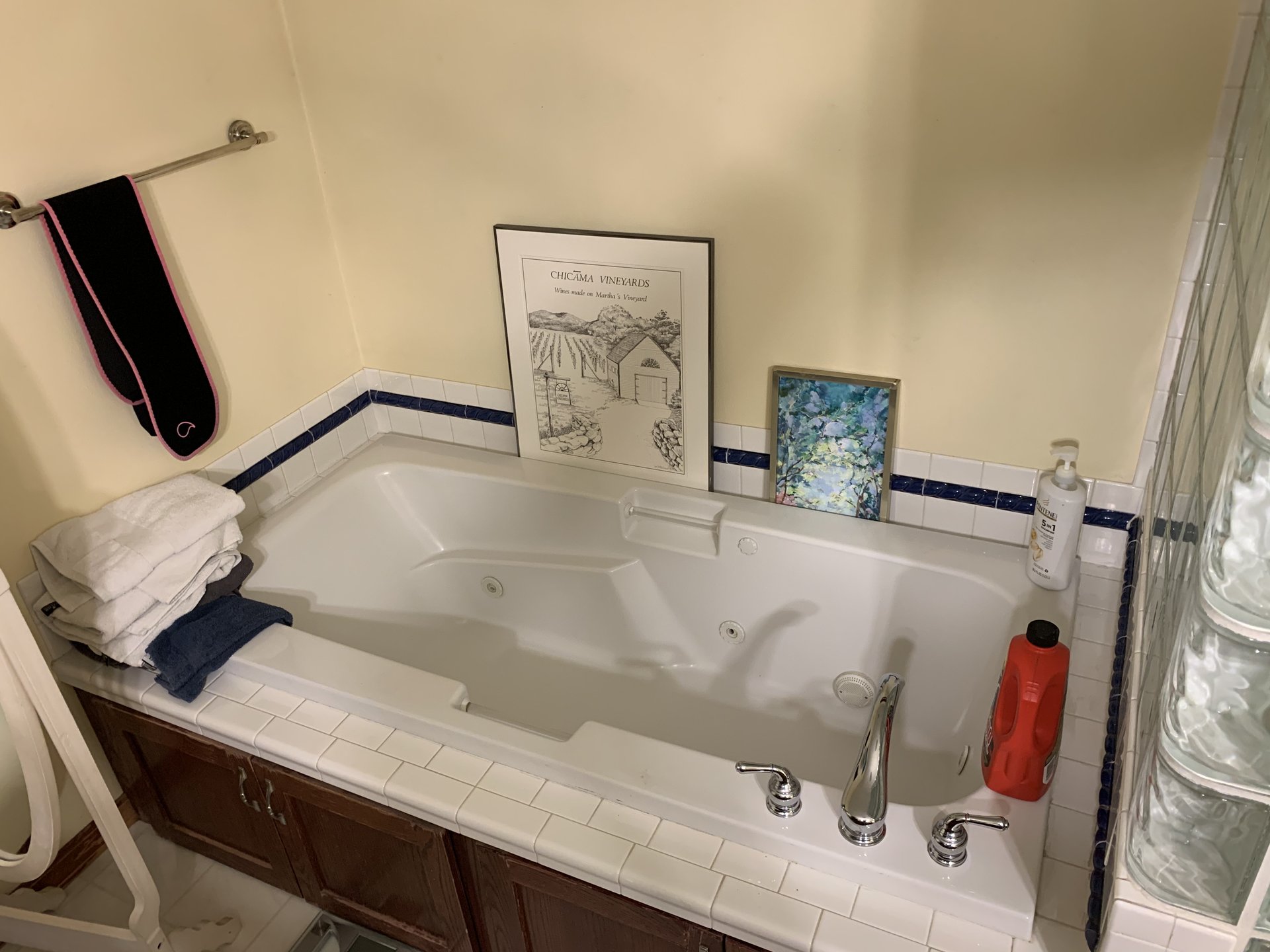 Master Bath Double Vanity Remodel - Before 2
