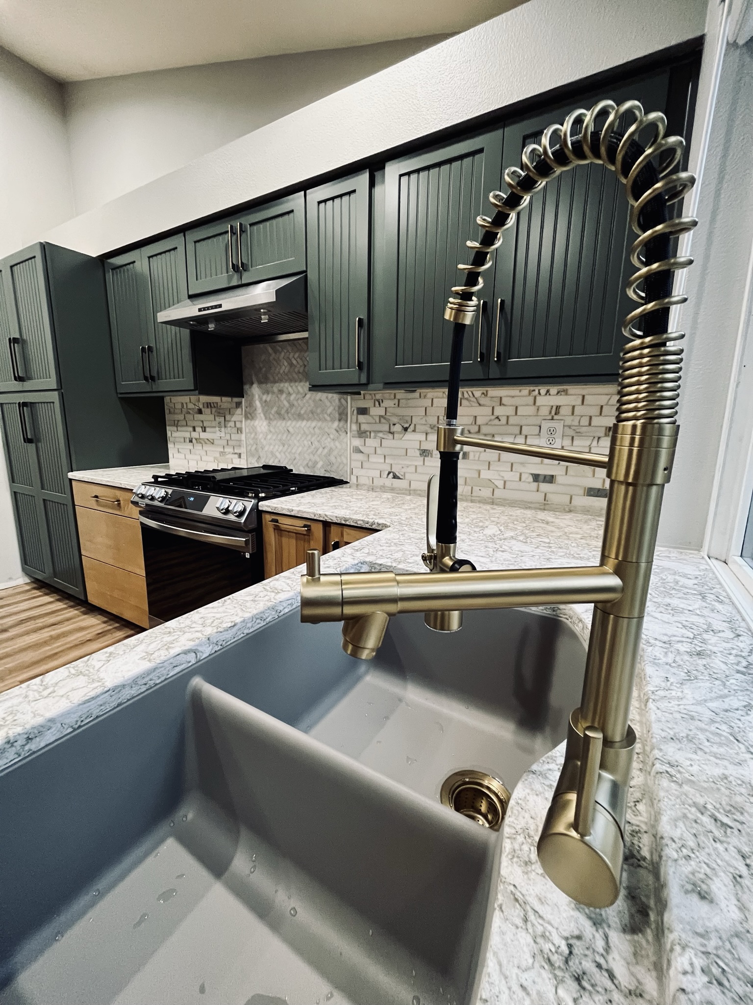 Green Cabinet Kitchen Remodel - Photo 4